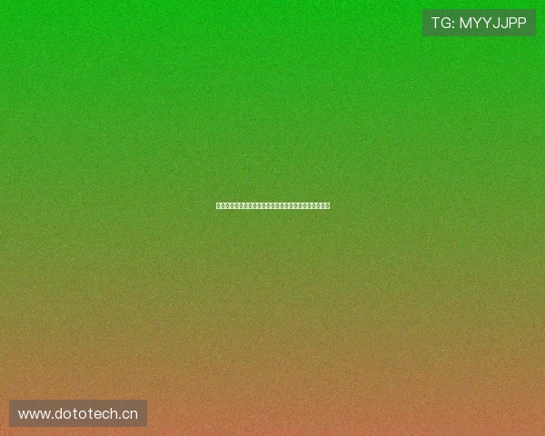 章鱼体育下载全新体验助力用户畅享多平台赛事竞技乐趣
